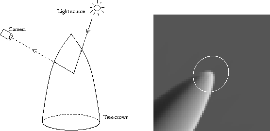 figure101