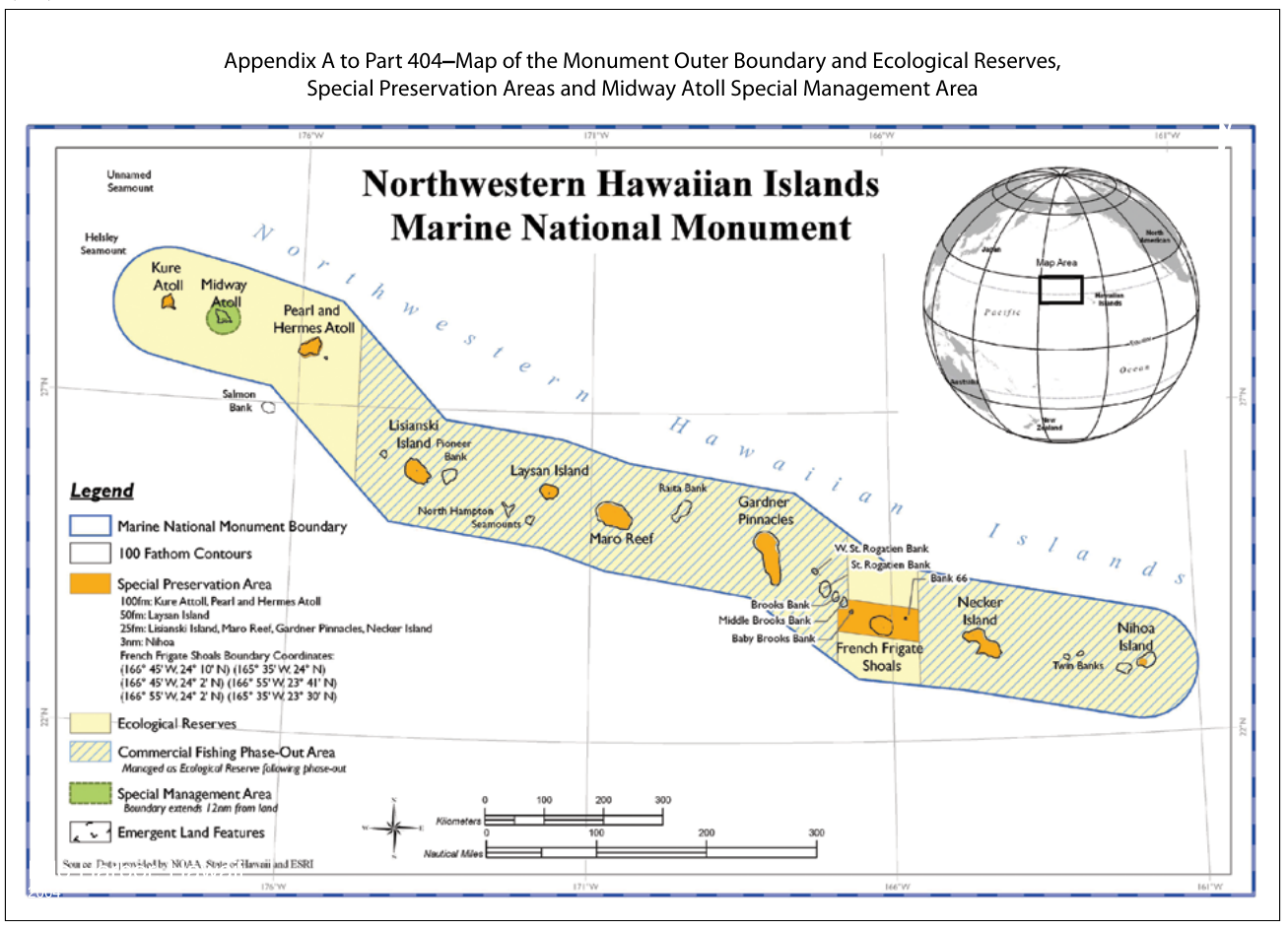 Hawaii whale area